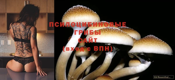 альфа пвп Новозыбков
