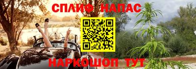 эйфоретик Бийск