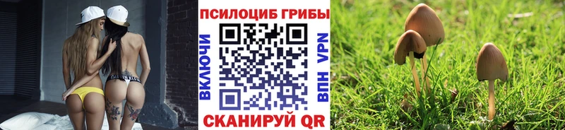 купить   Вольск  shop официальный сайт  Галлюциногенные грибы MAGIC MUSHROOMS 