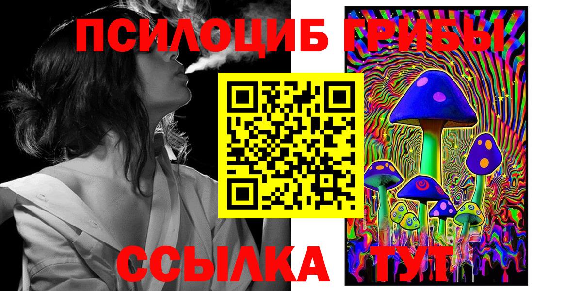 Псилоцибиновые грибы Cubensis Вольск