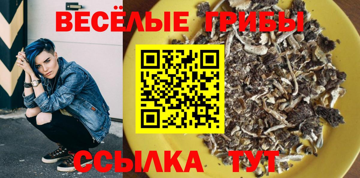 Галлюциногенные грибы Psilocybe  купить  цена  Псилоцибиновые грибы Psilocybe  Вольск 